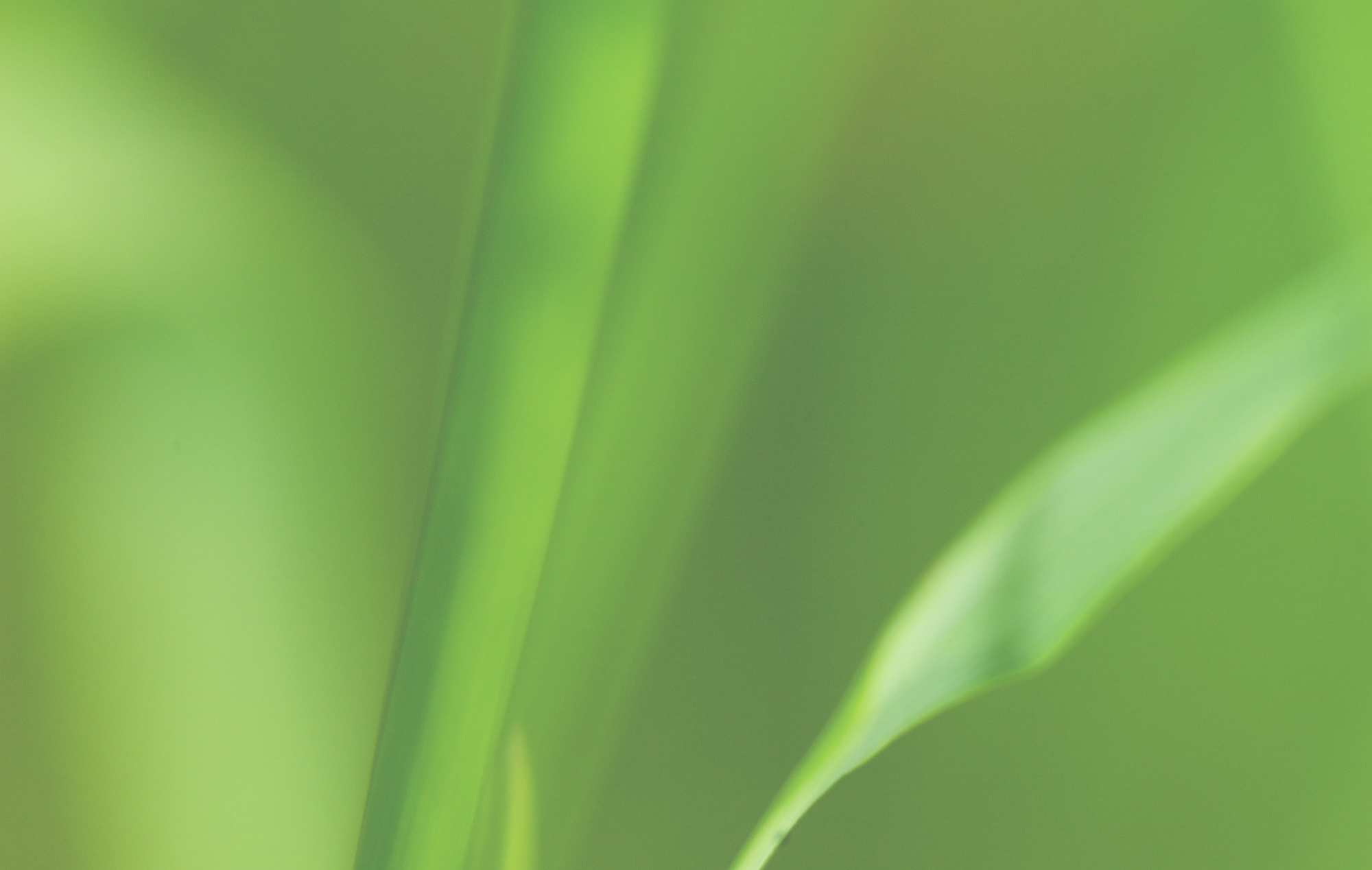 Environment Environment Background Image